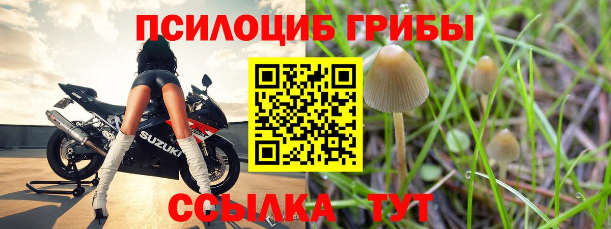 Псилоцибиновые грибы MAGIC MUSHROOMS  Вход с VPN  Галлюциногенные грибы Cubensis  Анапа 